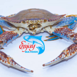 King Crabs Big Sizes