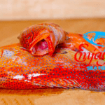 Canadian Grouper