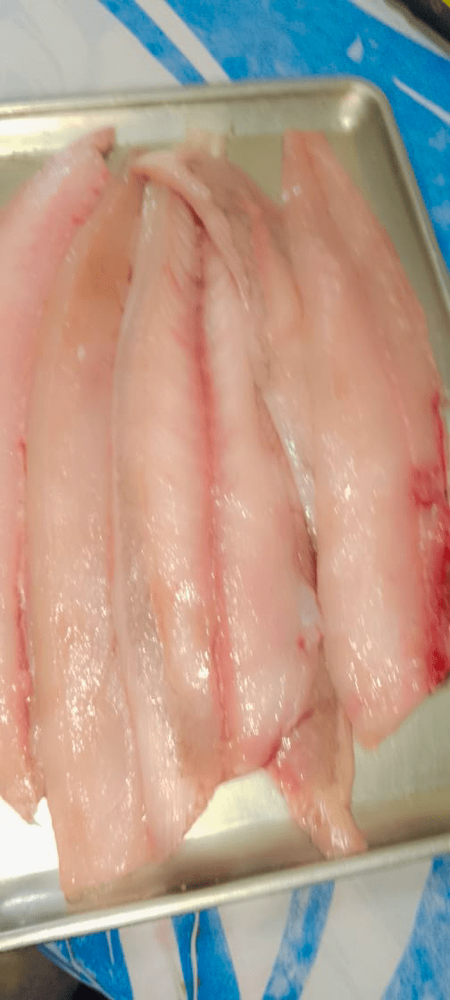 Grouper Fillet