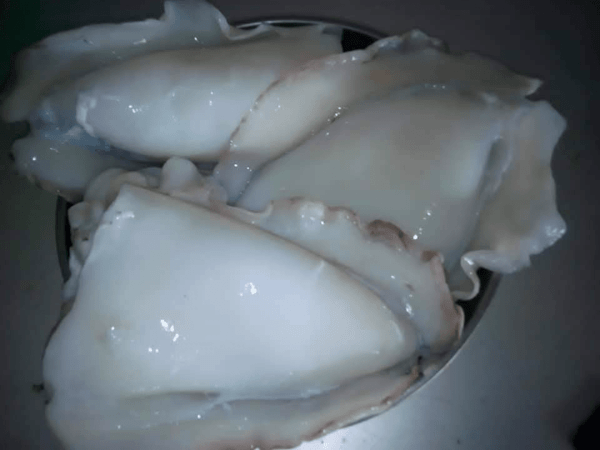 Squid - Image 2