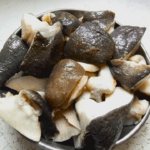 Sea Snail