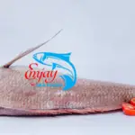 Red Fish Tsile Big & Medium Sizes