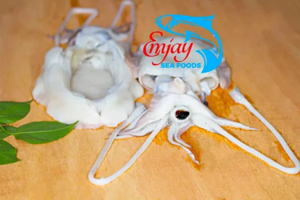 Squid